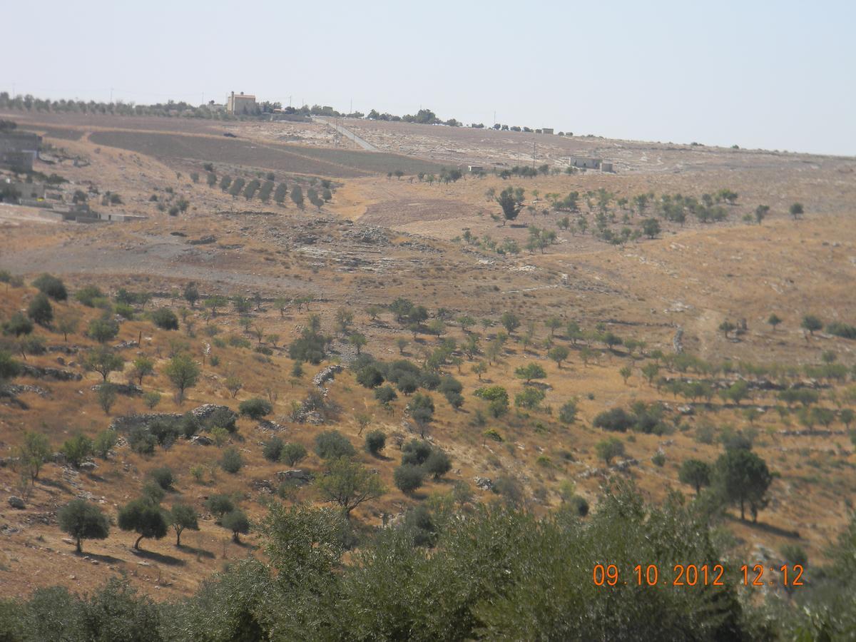 Town Of Mount Nebo Villa Madaba Ngoại thất bức ảnh