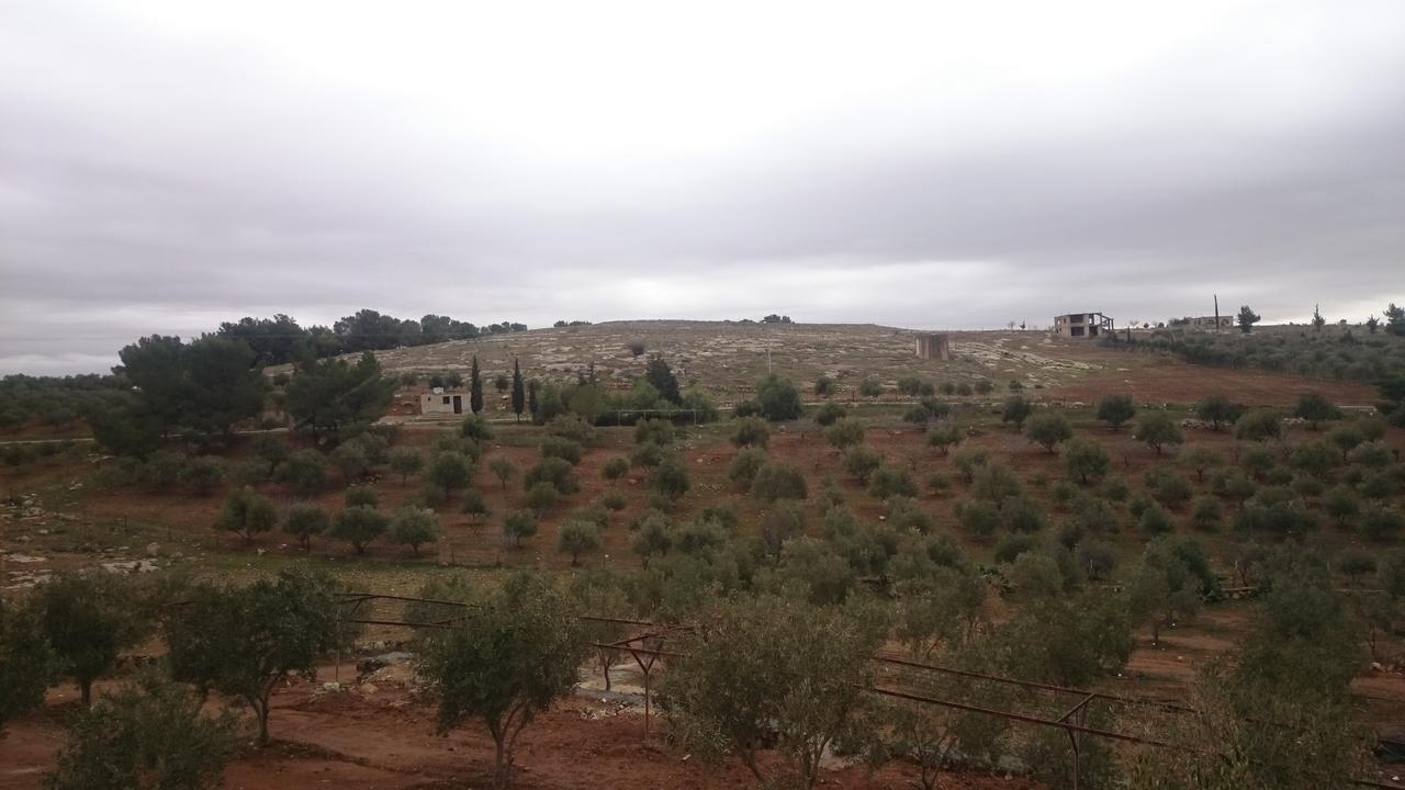 Town Of Mount Nebo Villa Madaba Ngoại thất bức ảnh