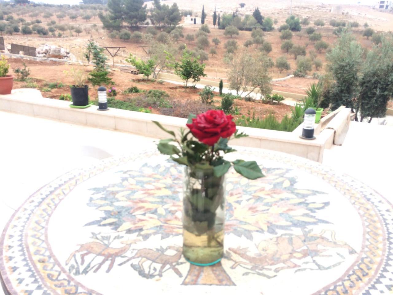 Town Of Mount Nebo Villa Madaba Ngoại thất bức ảnh